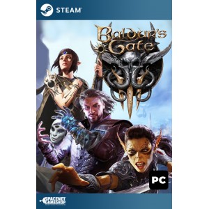 Baldur's Gate III 3 Steam